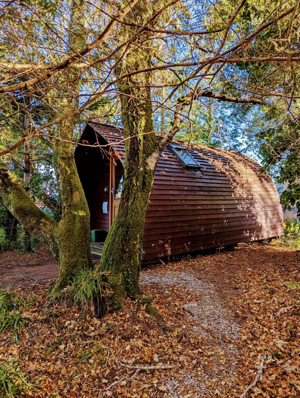 Wooden eco-cabin at Rubha Phoil permaculture project on the Isle of Skye, surrounded by forest and natural landscape